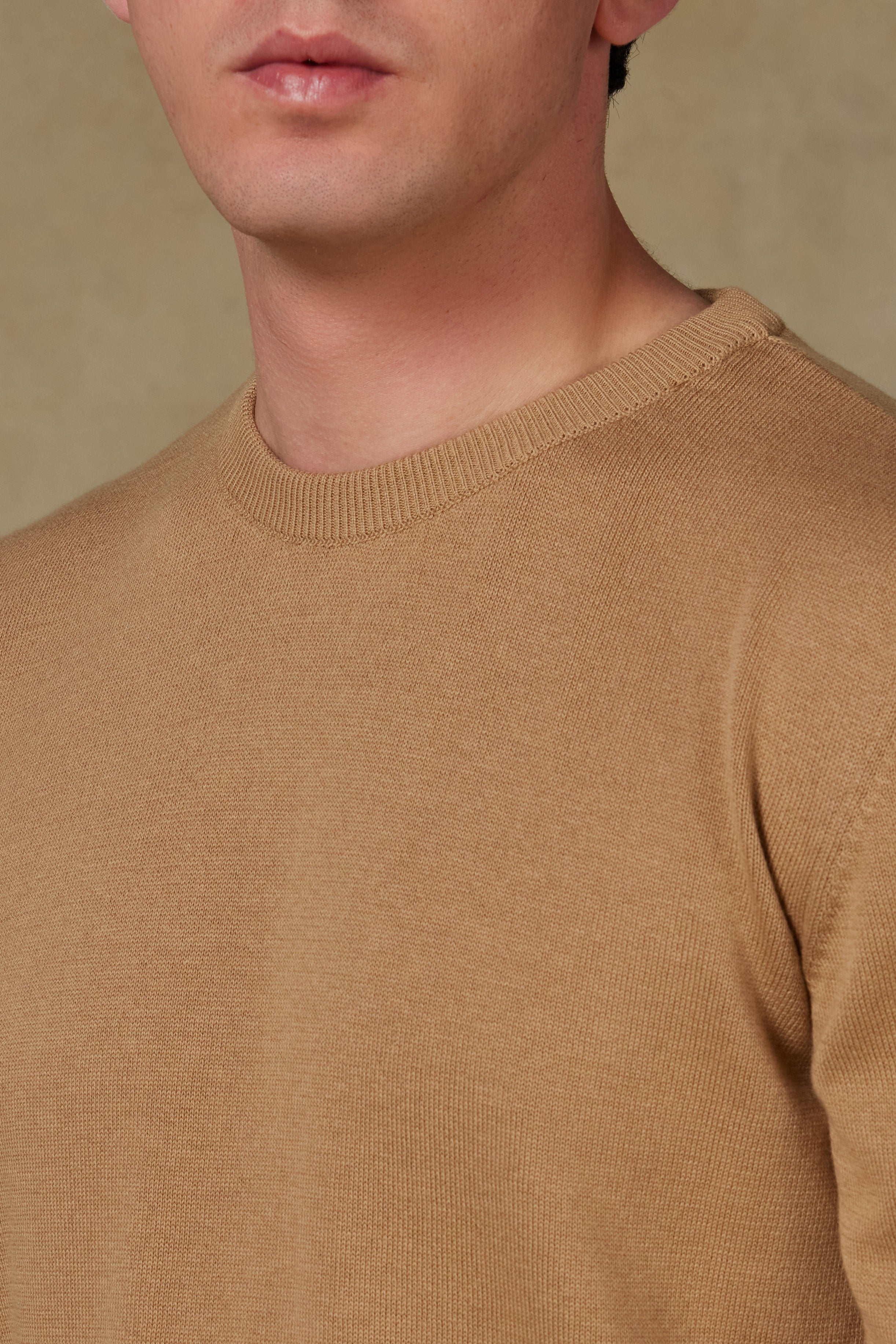 Abbate Suave Örme Kumaş Pamuklu Modern Fit Bej Bisiklet Yaka Erkek Düz Triko