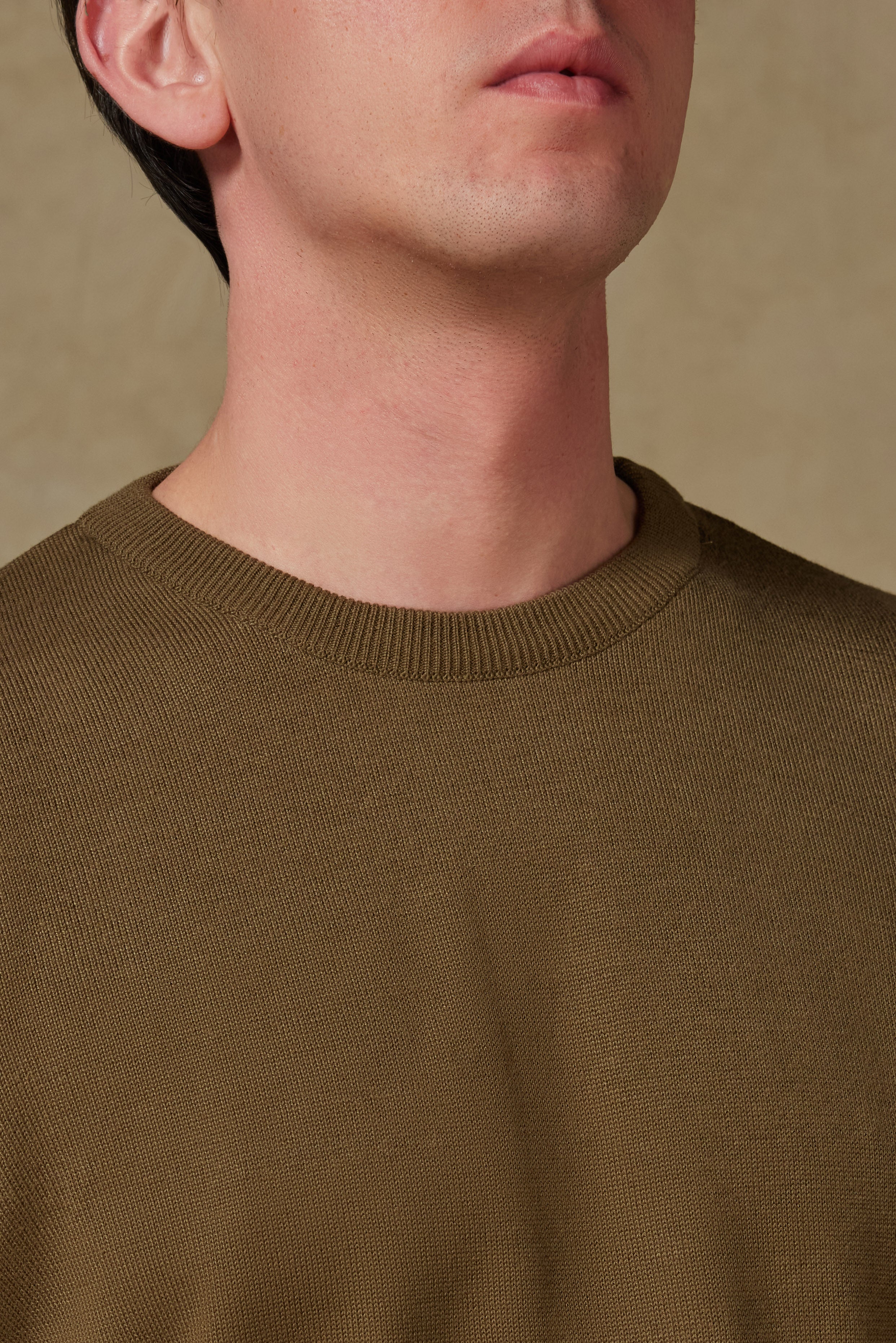 Abbate Suave Örme Kumaş Pamuklu Modern Fit Haki Bisiklet Yaka Erkek Düz Triko