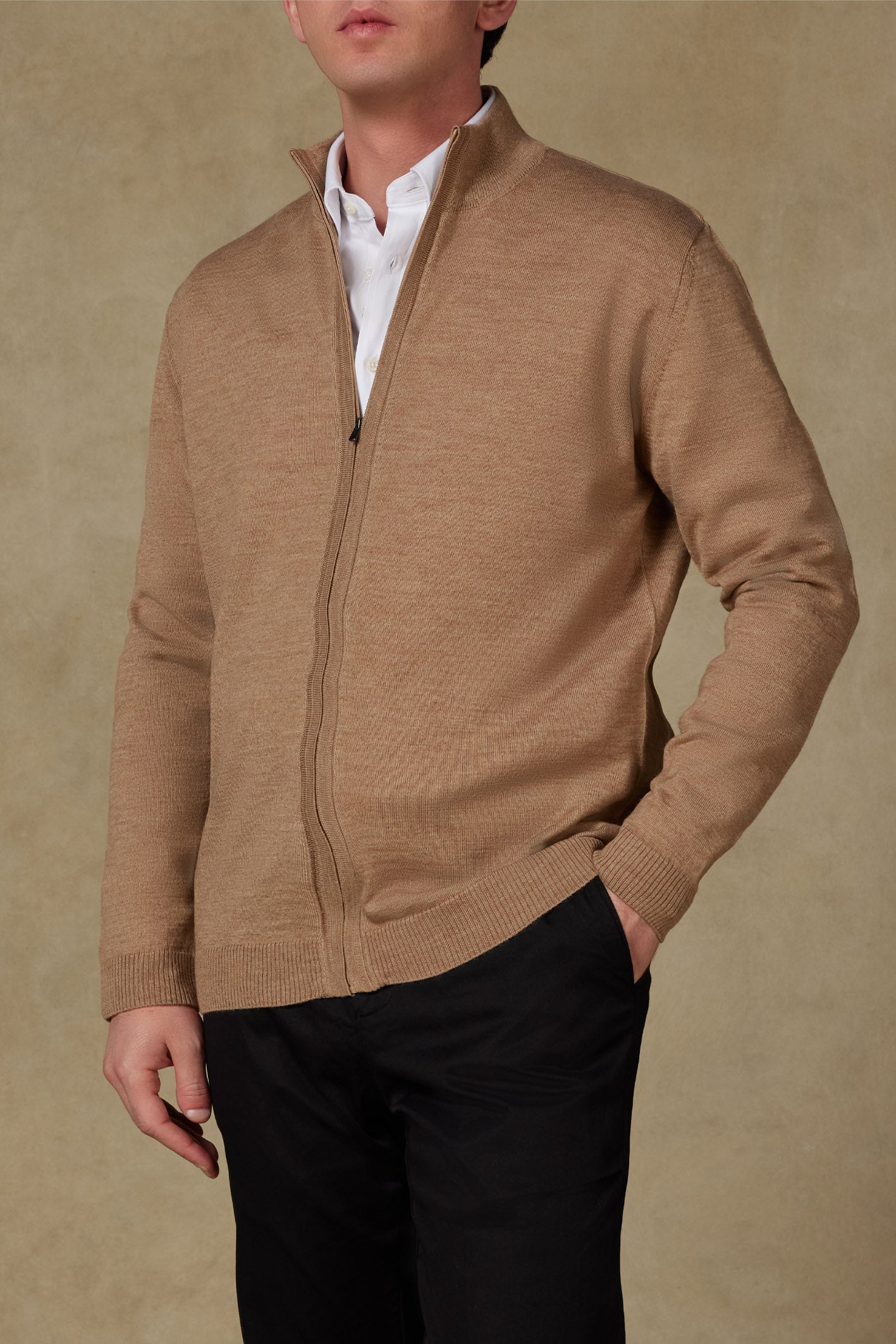 Abbate Seta Örme Kumaş Yünlü Modern Fit Bej Dik Yaka Erkek Düz Triko