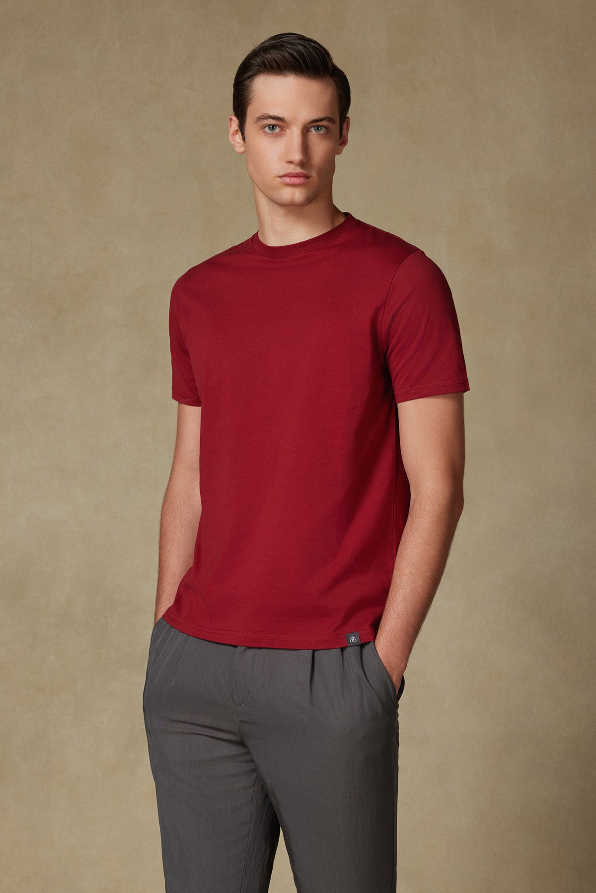 Abbate Easy Penye Pamuklu Comfort Fit Bordo Bisiklet Yaka Erkek Düz T-Shirt