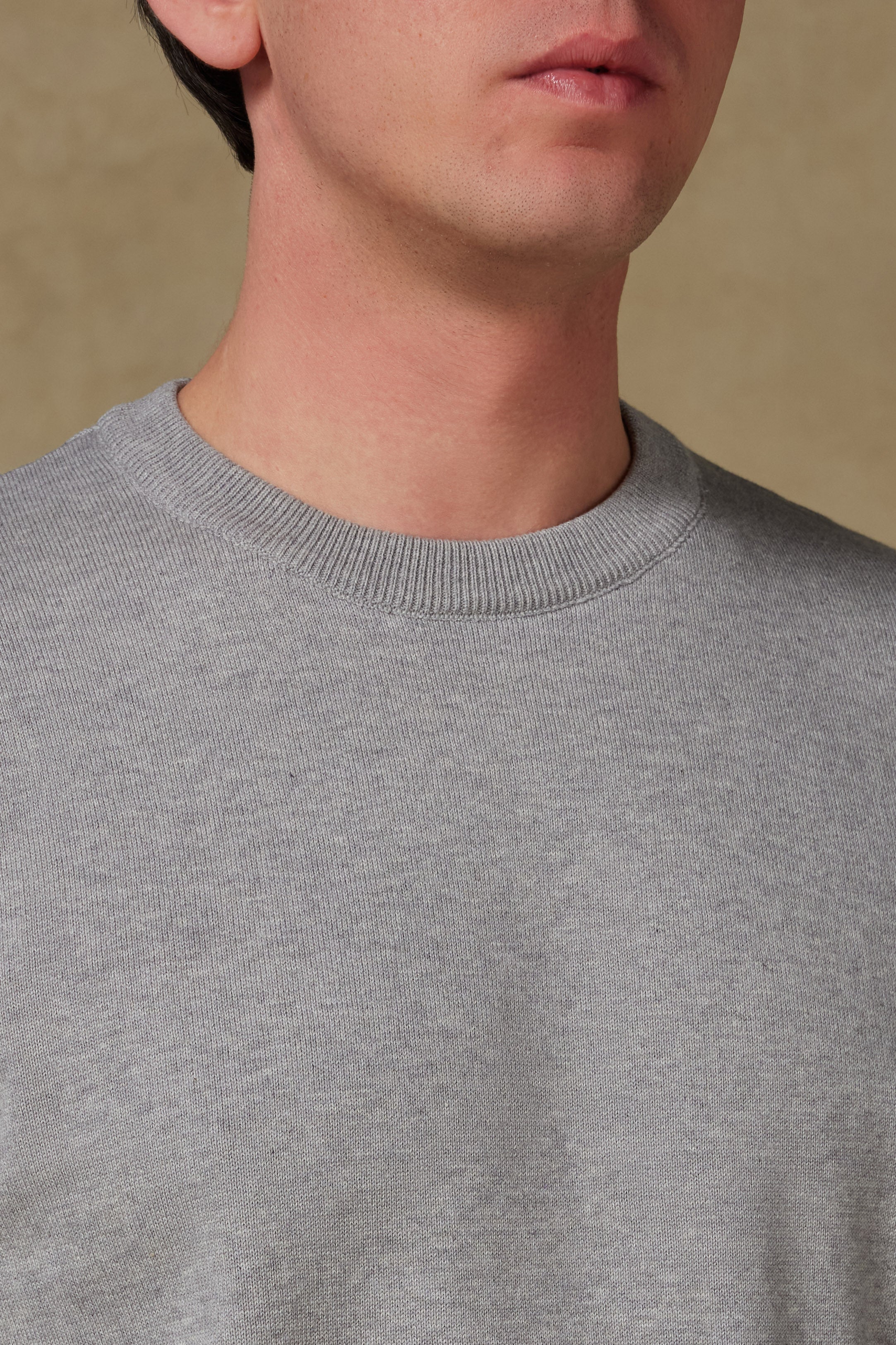 Abbate Suave Örme Kumaş Pamuklu Modern Fit Açık Gri Bisiklet Yaka Erkek Düz Triko